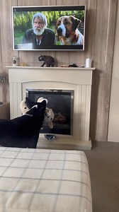 27K views · 669 reactions | Barney’s favourite movie #reaction #react #TheCallOfTheWild Part 22 | Stephen Kelleher | Facebook