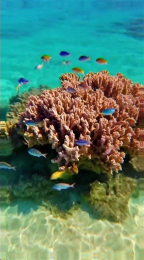Most Beautiful Places to Visit in Australia | Top Travel Destinations 2026