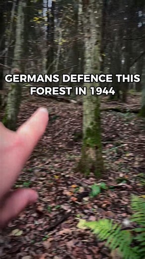 Metal detecting on WW2 positions 1944-1945 #ww2 #metaldetecting #history #worldwar2 #ww2history
