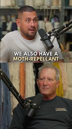 How We Stop Moths from Destroying Rugs | Rugcast