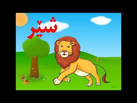 پیتێن زمانێ کوردی بادینی - kurdish alphabet (badini) - پیتێن کوردی - Tîpên Kurdî - ئەلف و بێیا کوردی