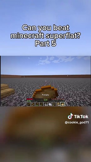 Minecraft Superflat Challenge: Can You Beat It?