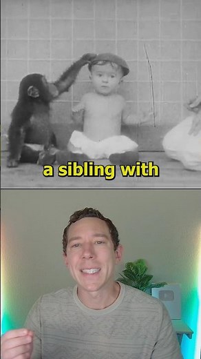Experiment Replaced Sibling With A Chimp. It Backfired!