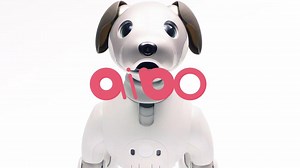 Sony's new Aibo pet robot goes on sale tonight in Japan