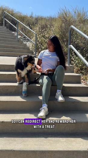 Does your dog challenge you? They're not being naughty, they just need a pack leader! With the Doggie Don't Device, guide & correct behavior with love, not fear. Free Shipping | 100-Day Money-Back Guarantee Shop Now and lead with confidence! https://linktr.ee/thedoggiedontdevice | The Doggie Don't Device | Facebook