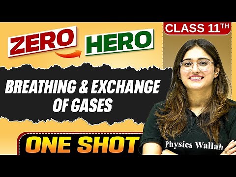 Breathing & Exchange of Gases | Full Chapter in ONE SHOT | Chapter 14 | Class 11 Biology 🔥