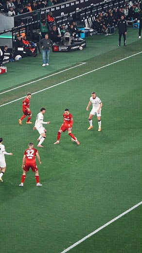 Nutmeg is Joe Scally's favourite spice 🥜 | Borussia Mönchengladbach