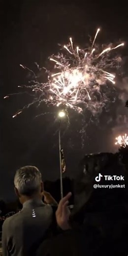 Fireworks going absolutely crazy overhead 💥 #fireworks #newyear