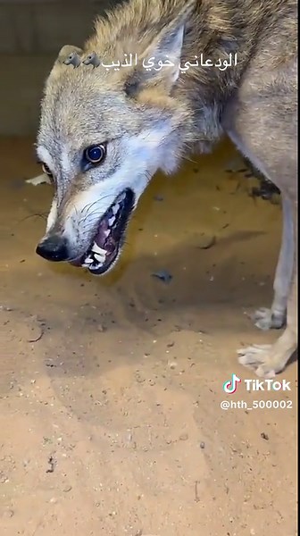 ‏#في هذا اليوم