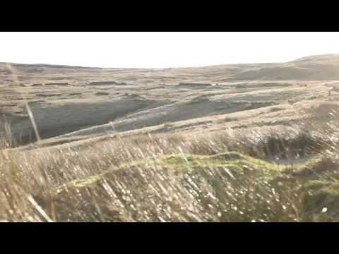 Wuthering Heights: Who is Heathcliff?