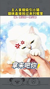 Cat Fire Hurry up and fire for me#Funny#Cute pets#kitten#The cat is about to become a spir