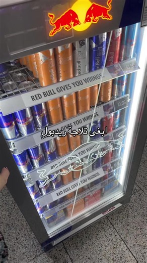ثلاجة ريدبول صغيرة للغرفة: كيف تختار وتشتري