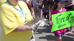 418K views · 641 reactions | INTO THE WILD: Lady, a large female...