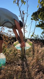 65K views · 1.8K reactions | You can make a real difference to the health of the trees on your patch. Consider giving the trees nearby a drink. It's a small act that can have a huge impact on their survival and growth. #WaterYourTrees #TreeCare #GreenCommunity #HelpNewTrees | Get Wild | Facebook