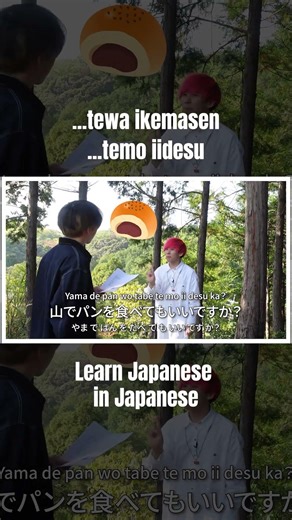 Learn Japanese in Japanese