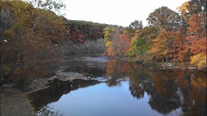 Leon Bibb: The stage is set for autumn's big show