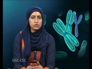 Cytological basis and Molecular mechanism of crossing over