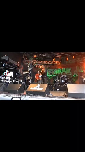 Live Reggae Performance: Music and Engagement