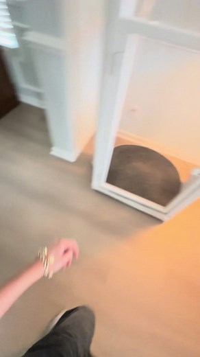 How Our Dogs Use the Home Elevator