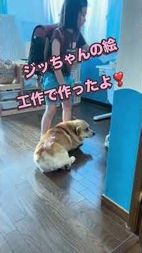 お姉が工作でジッさんのホワイトボードを作ったよ👍 #corgi #コーギー