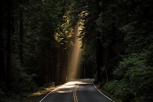 Exploring Body, Soul, And Spirit