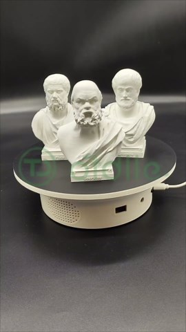Greek Philosopher Socrates Aristotle Plato Bust Historical Statue Head Sculpture Home Decor Collectible Figurine Desk Table Top Memorabilia (Socrates, 10" Hx6.5 Wx5 D)