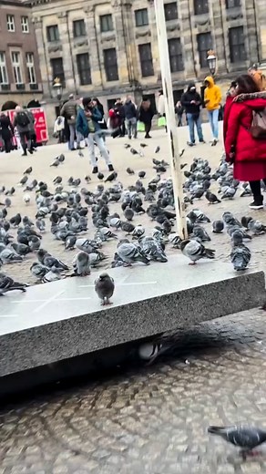 Prova il nostro IA agent al +393928534531 watsapp! www.innovativetechnologysrl.it www.protodynamics.it Innovative technology - Unit.Link Per preventivi e risposte veloci scrivi tramite watapp al +393928534531 #InnovativeTechnology #MOV #SistemaMOV | Flyboost by Giovanni-Athena Granati | Facebook