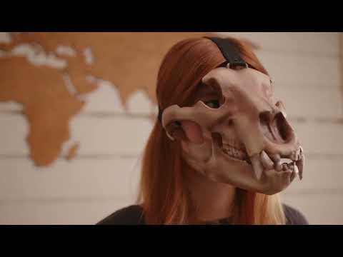 Bear skull mask full fase