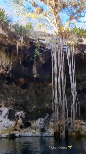 CENOTE Santa Bárbara Merida Yucatán México #lugaresincreíbles #cenotes #Merida #Yucatán #viajes