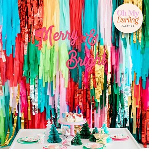Handmade Plastic Fringe Backdrop: Custom Party Photo Booth Decor, Party Decor - Etsy