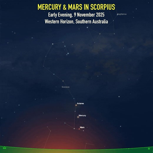 🌟Find Mercury in the Evening Sky: 3 to 9 Nov'25 — The innermost planet is often difficult to find due to its close proximity to the Sun. However, Mercury is presently at its greatest separation from the Sun and is also well placed for viewing from the southern hemisphere. Stargazers in South Australia can catch a glimpse of elusive Mercury using just their eyes or a pair of binoculars. The animated chart shows the location of Mercury and Mars in the constellation Scorpius (The Scorpion). Look l