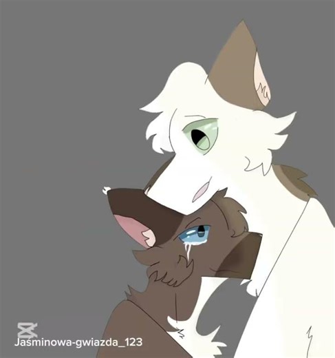 [oc lore] #warriorcats #art #cat #animation #speedpaint #shorts #shorts #gacha