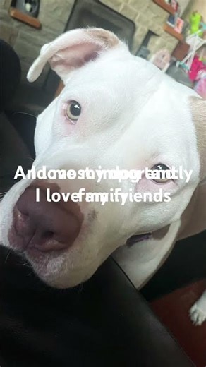 @yourfavgymnastlu I love you guys #blowup #grwm #gymnnastics #subscribe