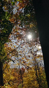 8.4K views · 14 reactions | The time is now! Checkout the Corsa Performance cat-back exhaust suite for the 2024+ Toyota Tacoma | CORSA Performance | Facebook