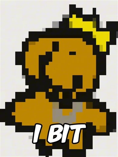 evolution of bits