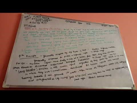 #PRINCIPLES OF INFORMATION PROCESSING 🎀🤍