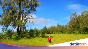 Gunung Argopuro: Lokasi, Jalur Pendakian, Keunikan dan Tiket Masuk