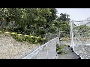 12 people injured by falling tree during CA college commencement