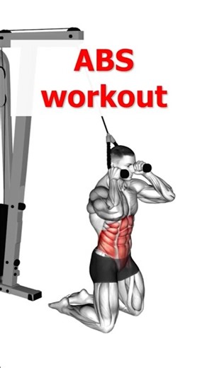 ABS WORKOUT For EVERYONE: From BEGINNER to ADVANCED for Strong core.