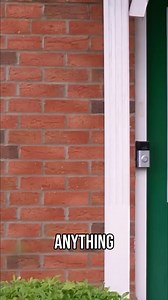 This dog is more interested in chasing birds than listening to his mom! And...wait, did he just eat poo? Some habits are hard to break! Don't let this dog lick you. #ItsMeOrTheDog #Dogs #DogBehavior #DogTraining #FunnyDogs #DogLife #PooEatingDogs | Me Or The Dog