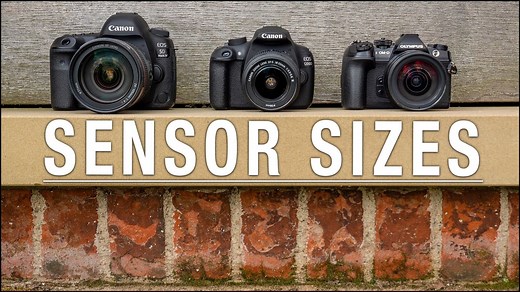 Camera Sensor Size Chart & Comparison Explained | TSOP