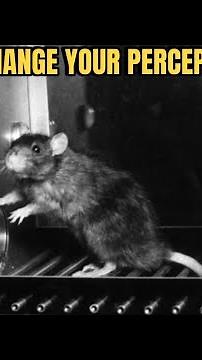 The Skinner’s Box Experiment: An Experiment that can change your Perception of Life 😳😳 | Dr Vishi