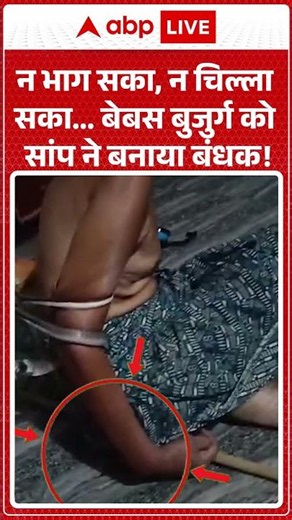 Viral Video : न भाग सका, न चिल्ला सका... बेबस बुजुर्ग को सांप ने बनाया बंधक!| Latest News | #shorts