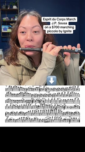 Affordable Marching Piccolo Review with Ignite