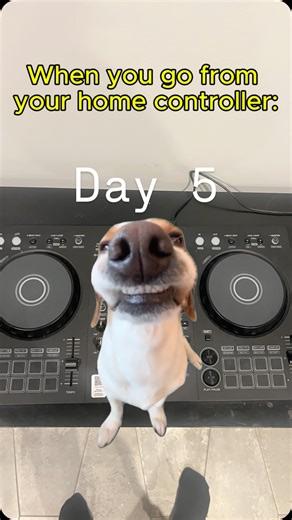 OffQ | Day 5 - Your first CDJ experience feels like taking off the training wheels . #dj #meme #cdj #music #fyp | Instagram