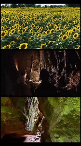 11K views · 195 reactions | Here’s to the trails, lakes, and roads at the Illinois state parks that we traveled in 2025. Thank you for exploring Illinois state parks. See you in 2026. Governor JB Pritzker Lt. Governor Juliana Stratton Illinois Conservation Foundation | Illinois Department of Natural Resources | Facebook