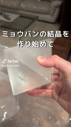 ミョウバン結晶育成25ヶ月目の記録