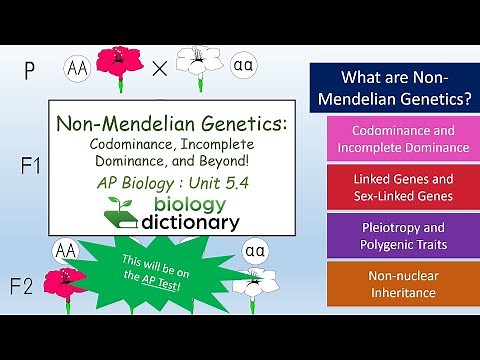 Non-Mendelian Genetics: Codominance, Incomplete Dominance, and Beyond! | AP Biology 5.4