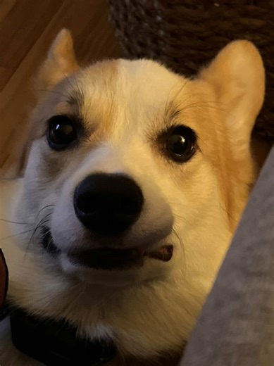 Love and Affection for My Boyfriend