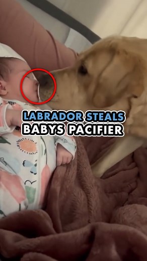 193K views · 3.8K reactions | It may seem like I'm making a big deal...